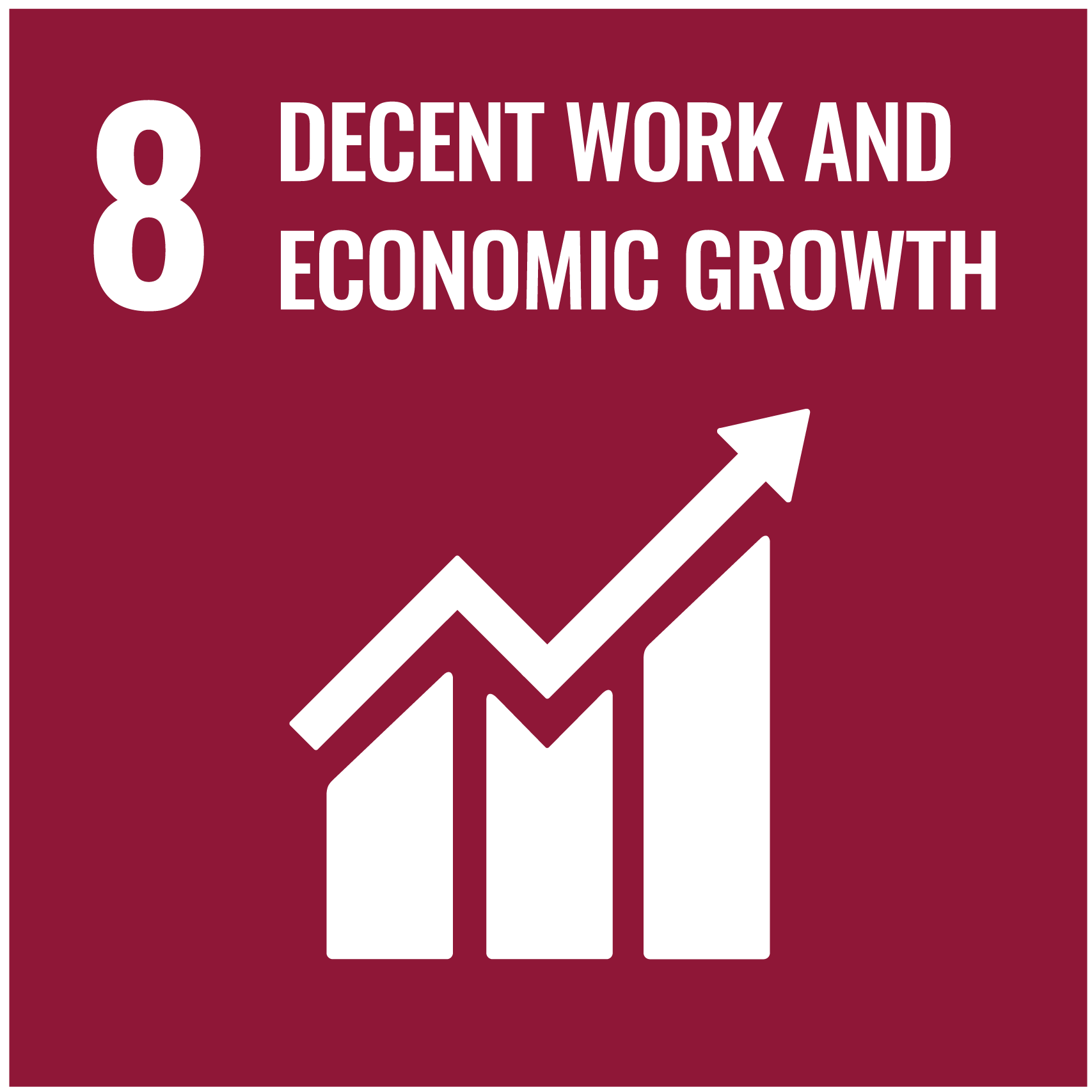 SDG 8
